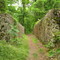 Landsford Canal Mill Site