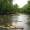 Catawba River Island