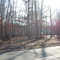 Christmas Farm trailers