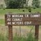 Morgan Creek Road