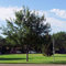 South Plains College Entrance