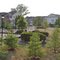 River Oaks Community