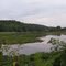 South River Headwaters Marsh 1