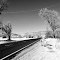 Reeder Road