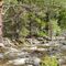 Sinks Canyon overflow, June 2008