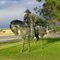 Cowboy of the "Bronze Roundup" Sculpture, Lander, Fremont County, Wyoming