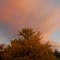 Fall Colors at Dusk, Lander, Wyoming