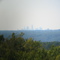 Chapin Forest (Cleveland Skyline)