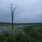 Baken Pond, near Lone Rock, WI