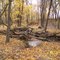 O'Hara Woods Nature Preserve