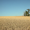 The Palouse