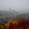 Nackenheim, Blick auf St. Gereon Kirche