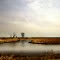 St. John's Marsh