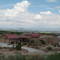 Big Dog Ranch