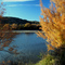 Rio Grande in Fall