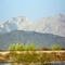 Southern New Mexican mountains