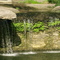 Tryst Falls