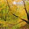 Autumn in the Missouri River Valley
