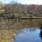 Confluence of Gilbert Creek and the Red Cedar River, Menomonie, WI