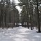 Wakanda Game Park, Menomonie, WI