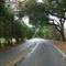 Rain, Foothill Rd, Pleasanton
