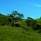 Grassy hill