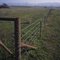 Long iron railing