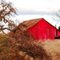 Red barn showing off...