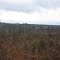 Fox Hill Rd.