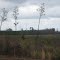 To Fort Christanna