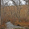 Mission Creek