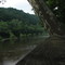 The GREENBRIER RIVER , LOOKING UPRIVER,  flowing through RONCEVERTE, WEST VIRGINIA, USA