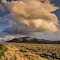 Massive Great Basin Cloud