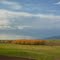 Moccasin Mountains and Golden Willows