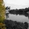Fall Colors at Springfield Lake