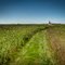 Blue Mounds State Park, Luverne, Minnesota