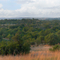 Crawford Family Ranch