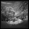 Central Park lamppost (infrared)