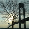 Verrazano-Narrows bridge by ardnaxx
