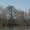 Hatchie River