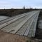 wooden bridge