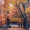 Dunnigan park, Bolivar, Mo 4