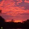 sunrise on pond