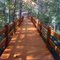 Greenville Nature Park