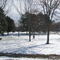 Early March Snowfall