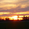 Evening Sun