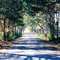 Big Four Road
