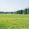Forbus Field