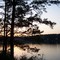 sunset and short leaf pine tree in wiggins, Mississippi