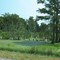 Swamp off U.S. 65